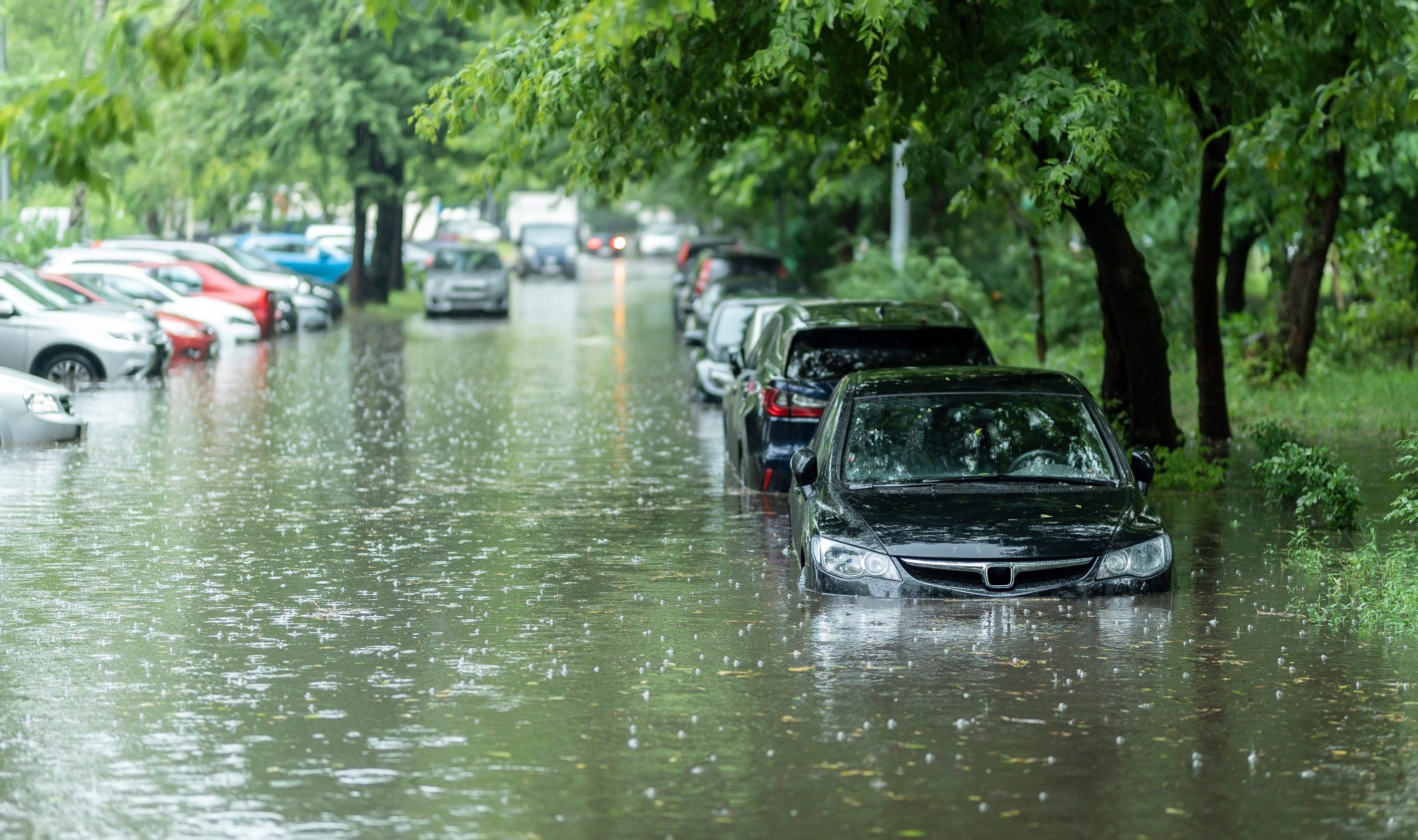 Did your vehicle get flooded? feature image