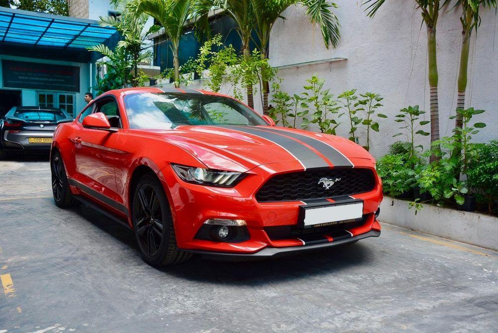 new-project.title-alts.detail.image-gallery.alt