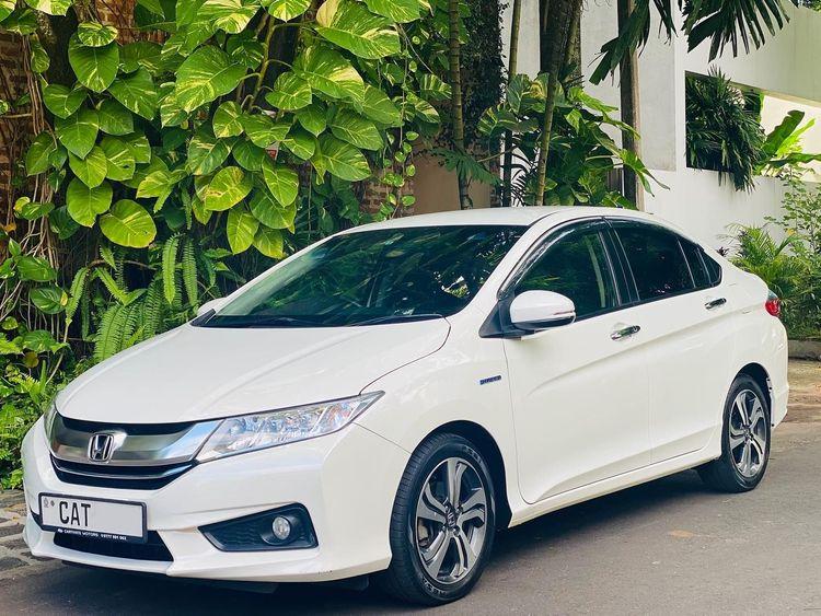 new-project.title-alts.detail.image-gallery.alt