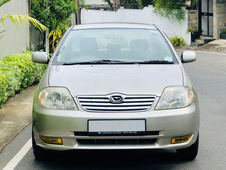 new-project.title-alts.detail.image-gallery.alt