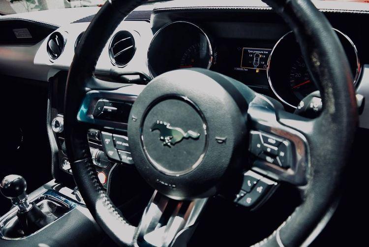 new-project.title-alts.detail.image-gallery.alt